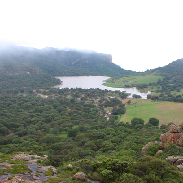 Pescar en la Presa los Alamitos – AGUASCALIENTES, AVENTURA Y ECOTURISMO